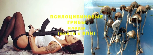 ALPHA PVP Дмитровск