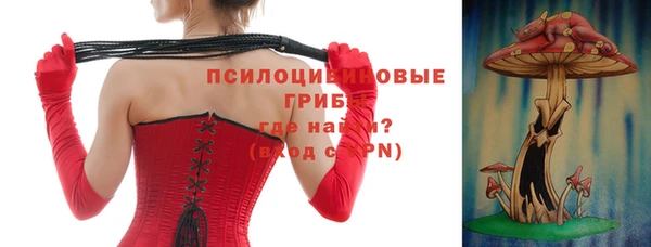 прущие грибы Алексин