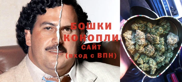 дурь Дмитриев