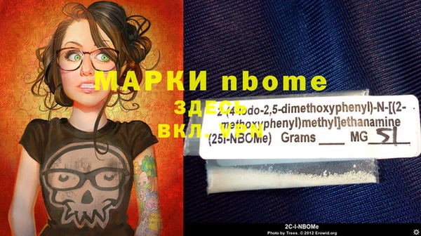 сатива Куйбышев