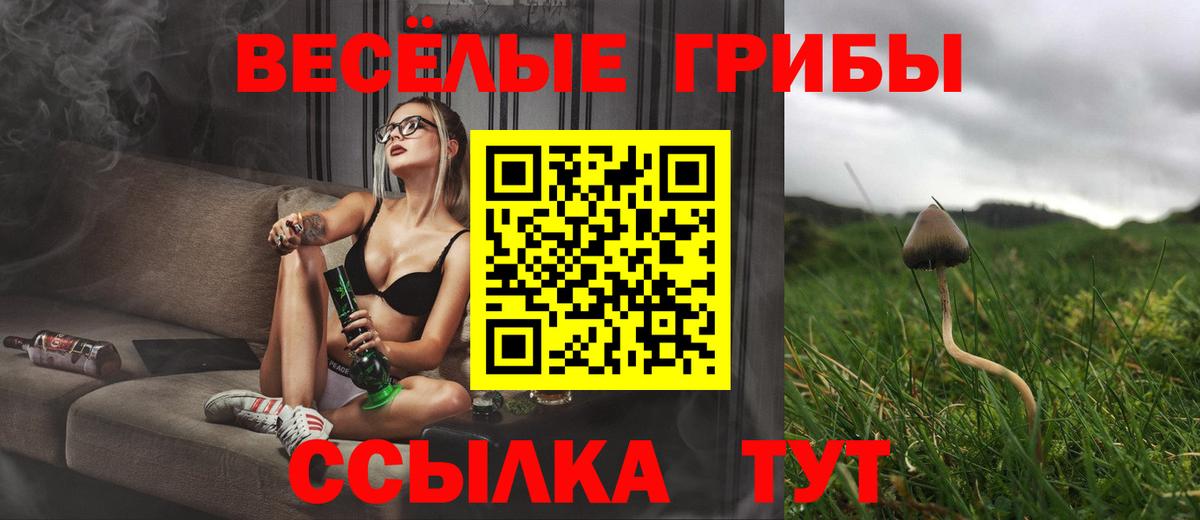 Лесной  Псилоцибиновые грибы Psilocybe  Вход с VPN 