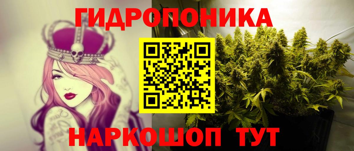 Марихуана марихуана Лесной